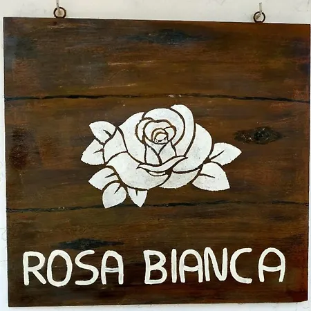Rosa Bianca *